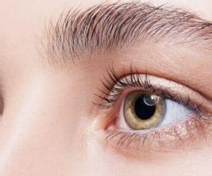 Laminierungsset für Augenbrauen – RANKING