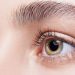 Laminierungsset für Augenbrauen – RANKING